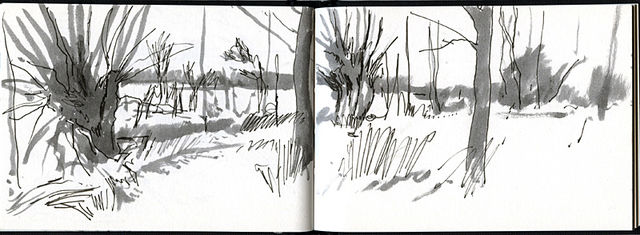 River bank sketch